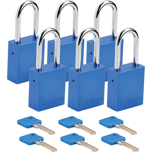 Cadenas de s&eacute;curit&eacute;, Cadenas de s&eacute;curit&eacute;, Cl&eacute;s diff&eacute;rentes, Aluminium, Largeur de 1-1/2" Rock Safety Industrial Ltd