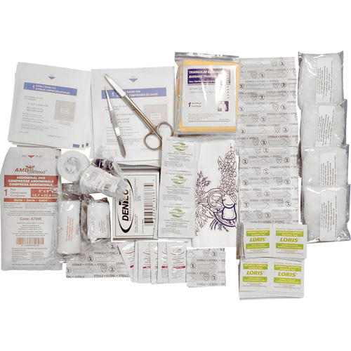 Trousse de premiers soins de base et recharge Shield, R&eacute;pond &agrave; la norme CSA Z1220-17 type 2 environnements &agrave; faible risque, Petit (2-25 travailleurs) Rock Safety Industrial Ltd