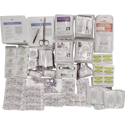 Trousse de premiers soins de base et recharge Shield, R&eacute;pond &agrave; la norme CSA Z1220-17 type 2 environnements &agrave; faible risque, Grand (51-100 travailleurs) Rock Safety Industrial Ltd