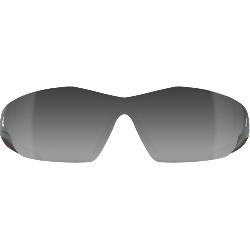 Lunettes de s&eacute;curit&eacute; Delano G2, Lentille Miroir argent&eacute;, Anti-&eacute;gratignures, ANSI Z87+/MCEPS GL-PD 10-12/R&eacute;pond ou surpasse la norme CSA Z94.3 Rock Safety Industrial Ltd