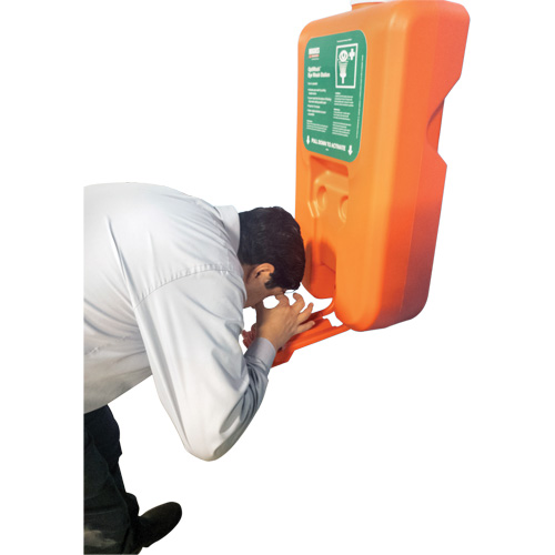Portable Self-Contained Eyewash Station, Gravity-Fed, 10 gal. Capacity, Meets ANSI Z358.1 Rock Safety Industrial Ltd