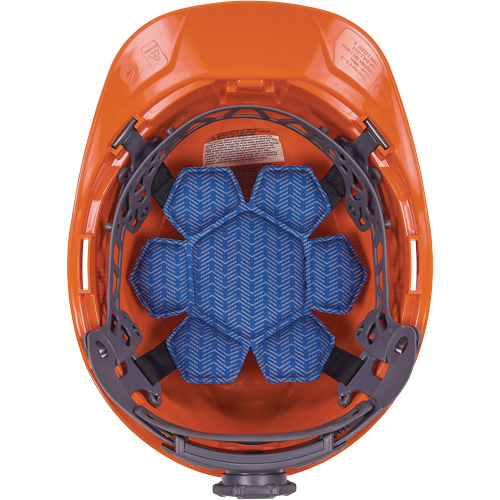 Chill-Its 6612 Moisture-Wicking Hard Hat Cooling Top Pad Rock Safety Industrial Ltd
