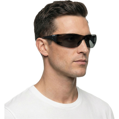 Adapt Lite Safety Glasses, Smoke Lens, Anti-Fog/Anti-Scratch, ANSI Z87+/Meets/Exceeds CSA Z94.3 Rock Safety Industrial Ltd