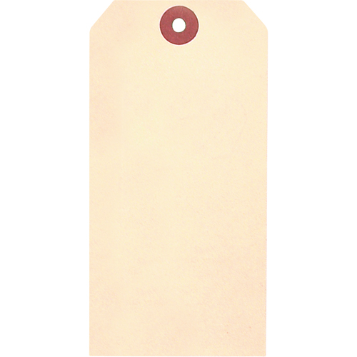 &eacute;tiquettes vierges en papier cartonn&eacute; de manille, Papier cartonn&eacute;, 1-7/8" la x 3-3/4" h Rock Safety Industrial Ltd