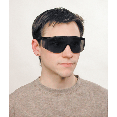 Tacoma&reg; Safety Glasses, Grey/Smoke Lens, Anti-Scratch, ANSI Z87+ Rock Safety Industrial Ltd