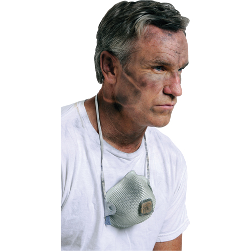 Respirateurs  contre les particules 2700, N95, Certifi&eacute; NIOSH, Grand/Moyen Rock Safety Industrial Ltd