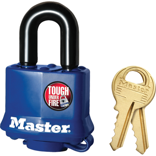 Weather-Resistant Padlock, Keyed Different, Laminated Steel, 1-9/16" Width Rock Safety Industrial Ltd