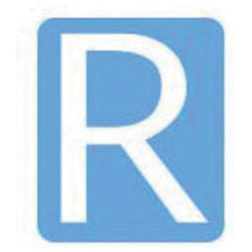 &eacute;tiquettes de lettres & chiffres gothiques individuels Quick-Align, R, 3" h, Blanc Rock Safety Industrial Ltd