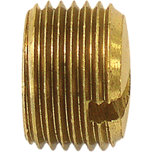 Pipe Plug (Slotted), 1/8" Dia., Brass Rock Safety Industrial Ltd