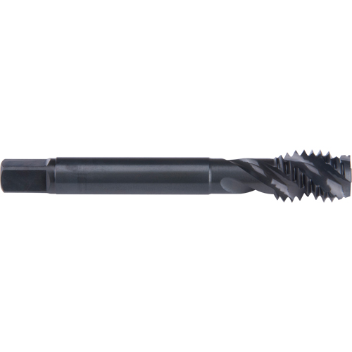 Taraud &agrave; cannelure en spirale 45°, Acier rapide au cobalt, Filet de 3/4"-10, 4-1/4" l Rock Safety Industrial Ltd