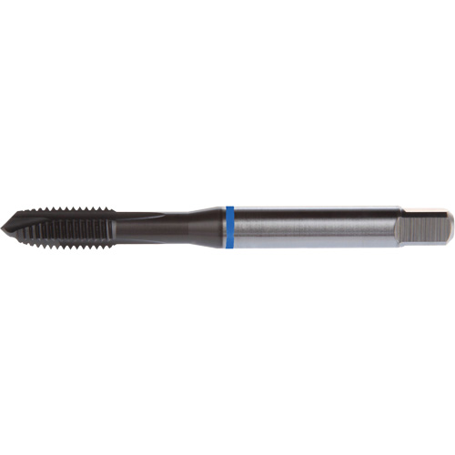Taraud &agrave; entr&eacute;e h&eacute;licoidale Blue Shark, Acier rapide au cobalt, Filet de 6-32, 2,205" l Rock Safety Industrial Ltd