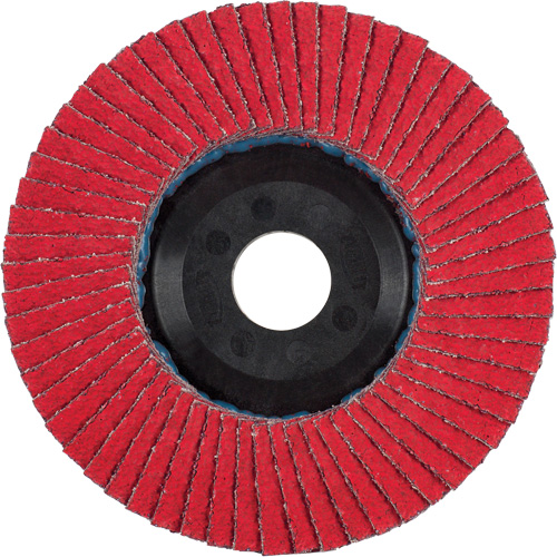 Flap Disc, 5" x 5/8"-11, Type 27, 60 Grit, Ceramic Rock Safety Industrial Ltd