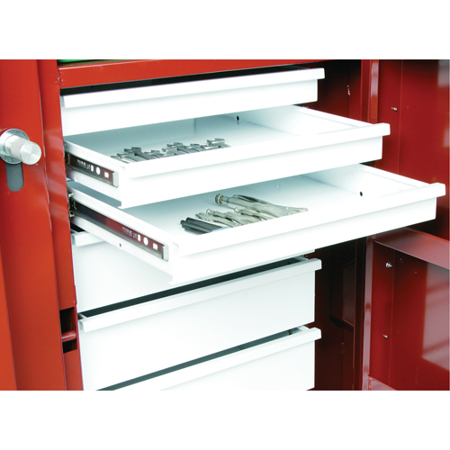&eacute;tabli roulant, 49-7/8" la x 40-5/8" h x 26-7/8" p, Capacit&eacute; de 24,6 pi³ Rock Safety Industrial Ltd