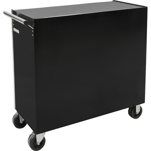 Industrial Tool Cart, 11 Drawers, 41" W x 18-3/4" D x 39-1/3" H, Black Rock Safety Industrial Ltd