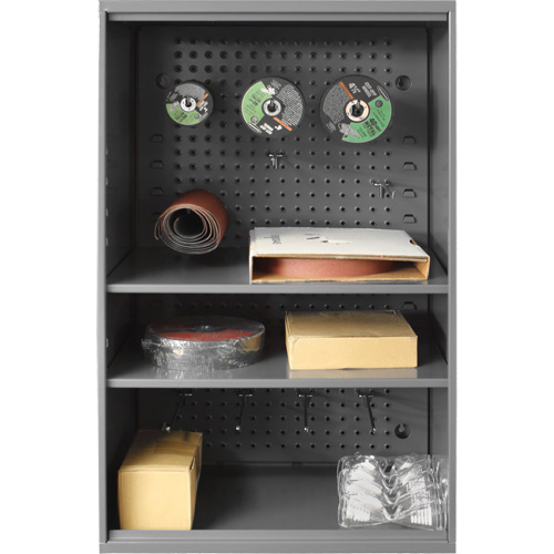 Abrasive Storage Cabinet with Pegboard, Steel, 19-7/8" x 14-1/4" x 32-3/4", Grey Rock Safety Industrial Ltd