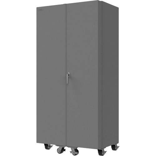 Empty Mobile Cabinet Rock Safety Industrial Ltd