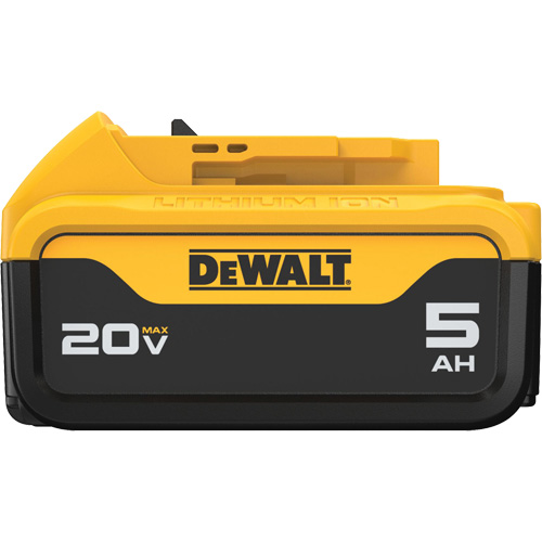 Bloc-piles Max XR Premium, Lithium-ion, 20 V, 5 A Rock Safety Industrial Ltd