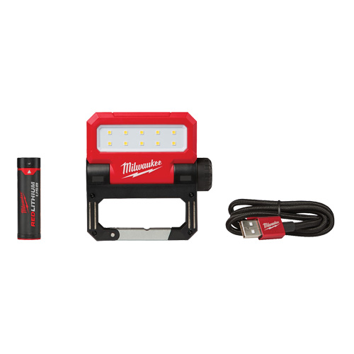 Projecteur d'illumination pivotant Rover USB, DEL, 550 lumens, Piles Rechargeable Rock Safety Industrial Ltd
