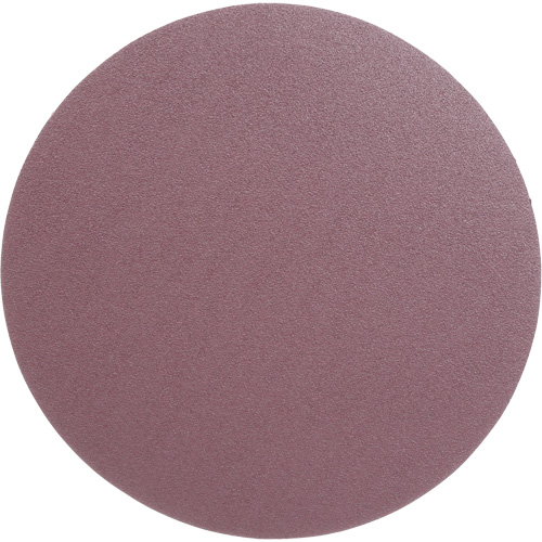 PSA Cloth Disc 348D, 12" Dia., 60 Grit, Aluminum Oxide, X-Weight Rock Safety Industrial Ltd