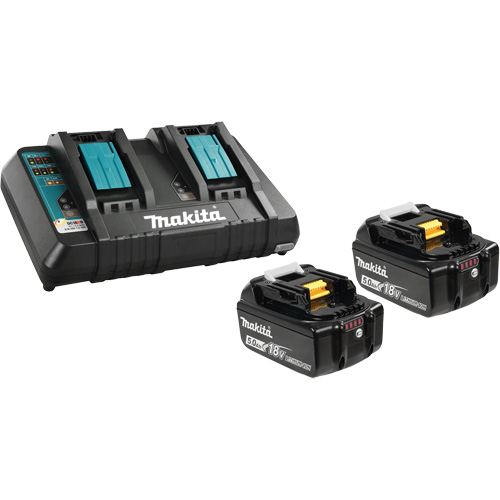 Li-Ion Battery & Dual-Port Charger Kit, 18 V, Lithium-Ion Rock Safety Industrial Ltd