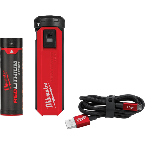 Trousse d'alimentation et de chargeur USB Redlithium, 4 V, Lithium-ion Rock Safety Industrial Ltd