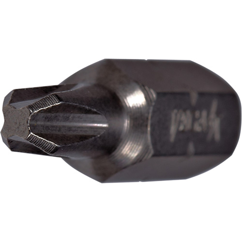 Embout &agrave; t&ecirc;te r&eacute;duite extra dur, Phillips, #2, Prise 1/4" Rock Safety Industrial Ltd