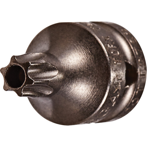 Socket Bit, Torx&reg; Tamper, 8 x 3/4" L, 1/4" Drive Rock Safety Industrial Ltd