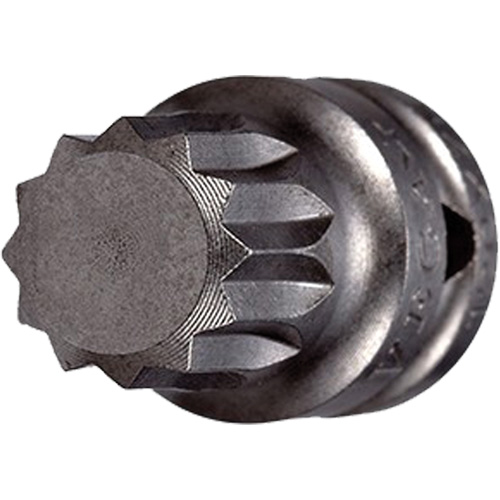 Socket Bit, Triple Square, 5 x 3/4" L, 1/4" Drive Rock Safety Industrial Ltd
