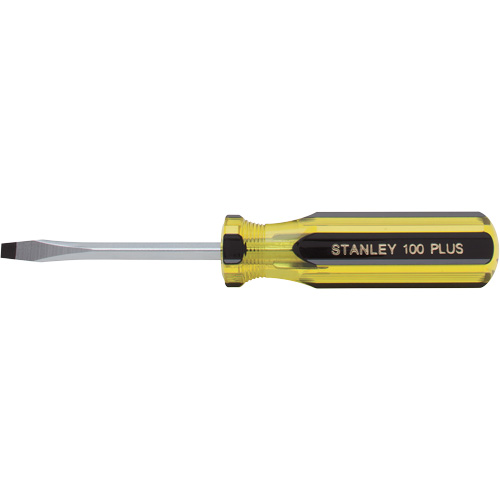 Tournevis pour &eacute;crous &agrave; fente 100 PLUS, Tige de 3/16", Ronde, Prise en Plastique Rock Safety Industrial Ltd