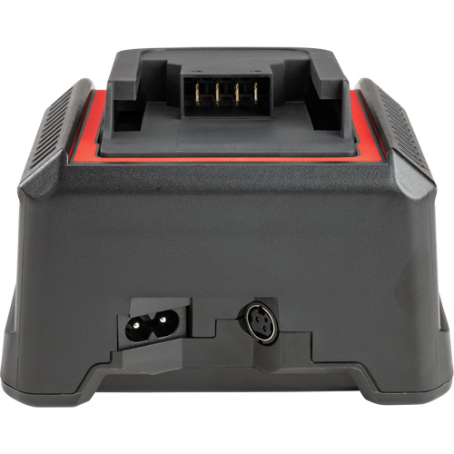 Chargeur de batterie 2,5 Ah et 5,0 Ah, 120 V, Lithium-ion Rock Safety Industrial Ltd