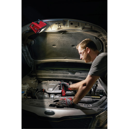 Projecteur d'illumination montable M12 ROVER, DEL, 250 W, 1000 lumens Rock Safety Industrial Ltd