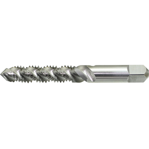 Taraud &agrave; main &agrave; cannelure spiral&eacute;e DRILLCO, Acier rapide, Filet 1/4"-20 Rock Safety Industrial Ltd