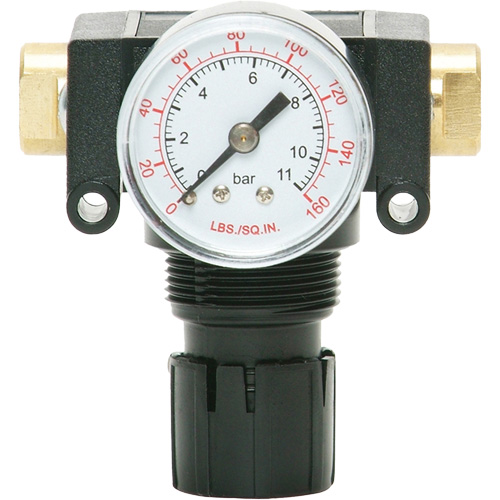 D&eacute;tendeur &agrave; piston en ac&eacute;tal MODULAIR 200, 1/4" NPT, PSI max. de 150 psi, Canalisation/Modulaire Rock Safety Industrial Ltd