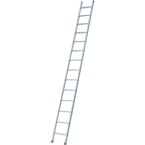 Industrial Heavy-Duty Extension/Straight Ladders, 8', Aluminum, 300 lbs., CSA Grade 1A Rock Safety Industrial Ltd