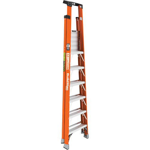 Escabeau avec plateforme Safespace, 6', Cap. De 300 lb Rock Safety Industrial Ltd