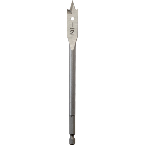M&egrave;che plate, Diam&egrave;tre de 1/2", Tige 1/4" hex, Longeur de 6" Rock Safety Industrial Ltd