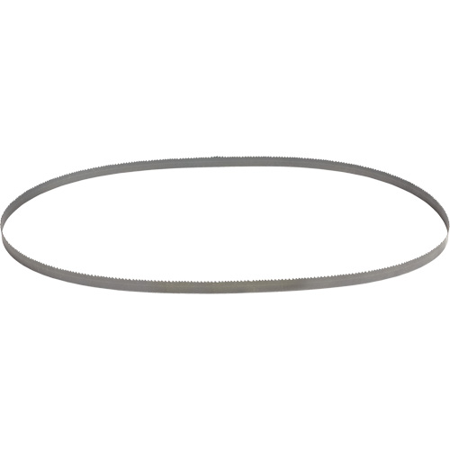 Lame de scie &agrave; ruban portable standard pour coupe profonde, Acier rapide, 44-7/8" lo x 1/2" la x &eacute;paisseur 0,2", 10/14 dents par pouce Rock Safety Industrial Ltd