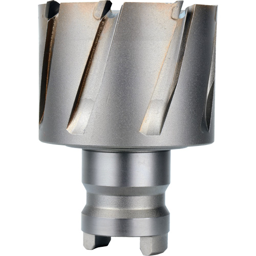 Quick Change Tang Drive Hawg&reg; Cutter, 2" Diameter, Steel, 1" Depth of Cut Rock Safety Industrial Ltd