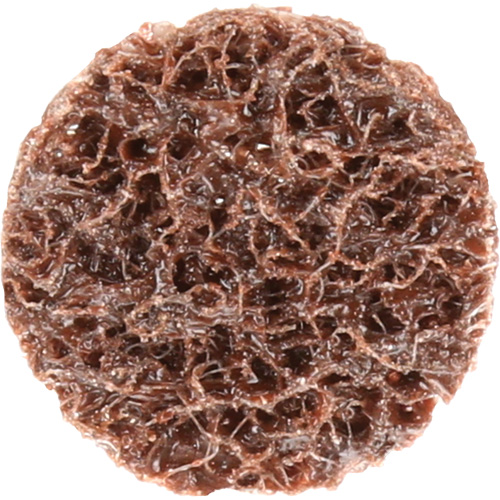 Standard Abrasives Quick-Change Surface Conditioning Disc, 3/4" Dia., Coarse Grit, Aluminum Oxide Rock Safety Industrial Ltd