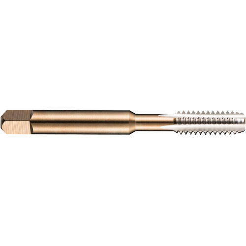 Taraud machine pour tuyau, 10-1,5, 3 cannelures, 80 mm lo, Conique, Acier rapide Rock Safety Industrial Ltd