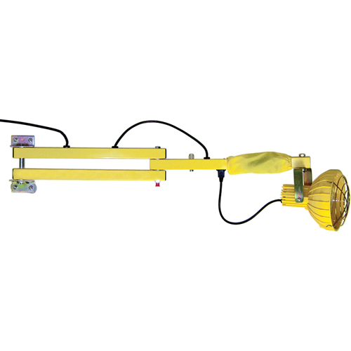 Lampes avec bras flexible pour quais, Ampoule Incandescente, Bras 60" Rock Safety Industrial Ltd