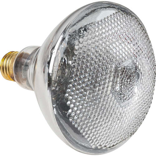 Economy Line Incandescent Lamps Rock Safety Industrial Ltd