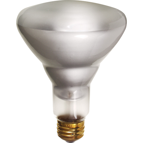 Economy Line Incandescent Lamps Rock Safety Industrial Ltd