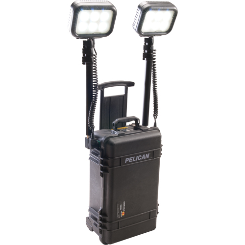9460 Remote Area Lighting Systems, LED, 12,000 Lumens, Plastic Housing Rock Safety Industrial Ltd
