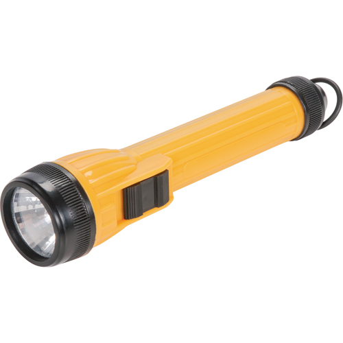 Lampe de poche AFL100, DEL, 28 lumens, Piles AA Rock Safety Industrial Ltd