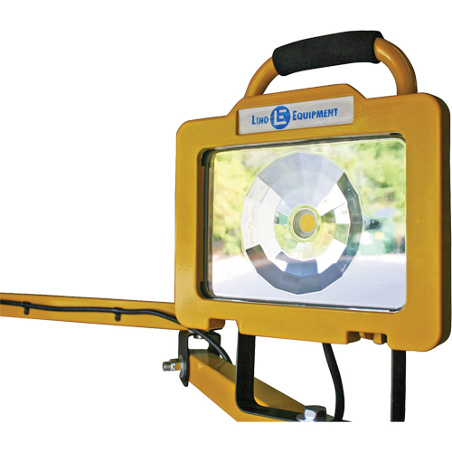 Heavy-Duty Dock Light, 40" Arm, 38 W, LED Lamp, Metal Rock Safety Industrial Ltd