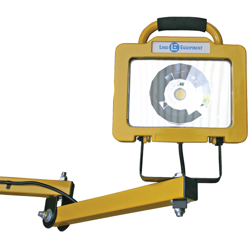 Heavy-Duty Dock Light, 40" Arm, 38 W, LED Lamp, Metal Rock Safety Industrial Ltd