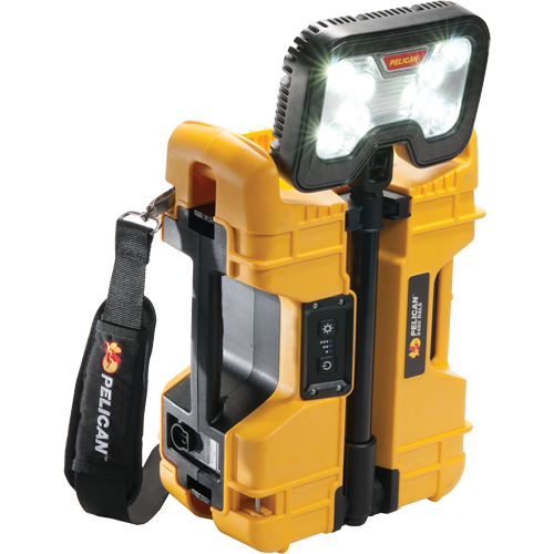 Syst&egrave;mes d'&eacute;clairage &agrave; distance 9480, DEL, 41,1 W, 4000 lumens, Boîtier en Plastique Rock Safety Industrial Ltd