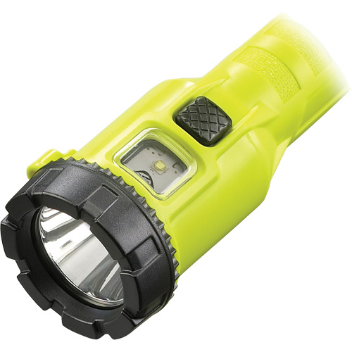 Lampe de poche ProPolymer Dualie, DEL, 245 lumens, Piles AA Rock Safety Industrial Ltd
