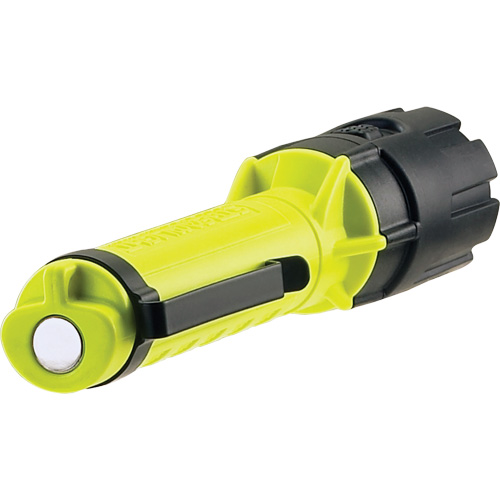 Lampe de poche manuelle compacte Dualie, DEL, 175 lumens, Piles AA Rock Safety Industrial Ltd